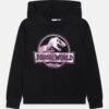 NAME IT Nkfjordi Jurassic Unisex - Sweat À Capuche - Black -Anna Field 78812414bf9643ed9ca852c04250a741